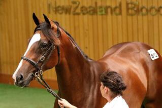 Cambridge Stud's Tavistock filly (Lot 612) sold for $975,000. Photo: Darryl Sherer